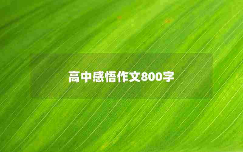 高中感悟作文800字