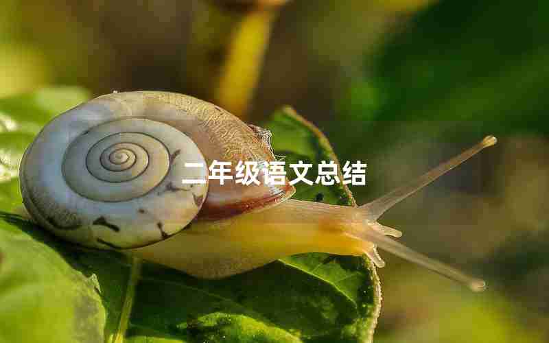 二年级语文总结
