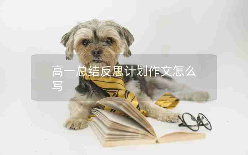 高一总结反思计划作文怎么写