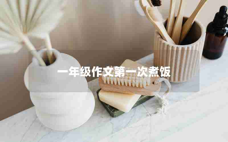 一年级作文第一次煮饭