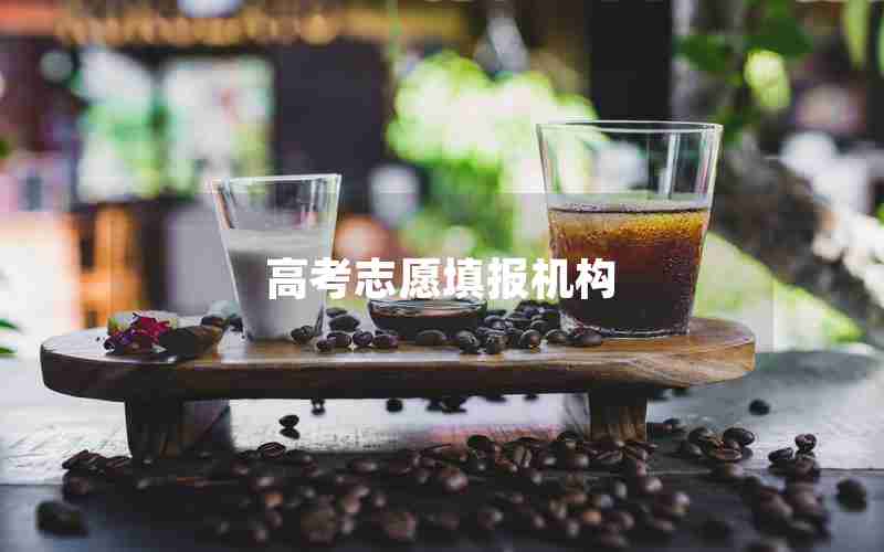 高考志愿填报机构
