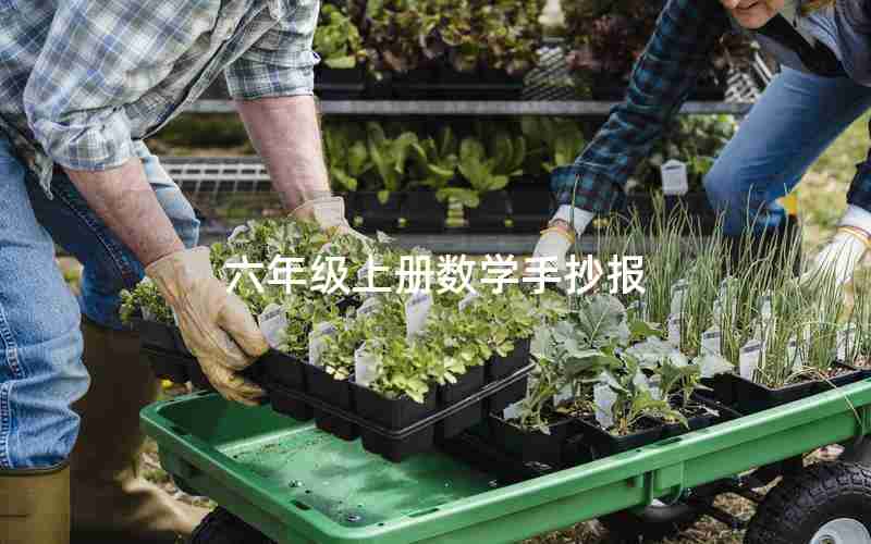 六年级上册数学手抄报