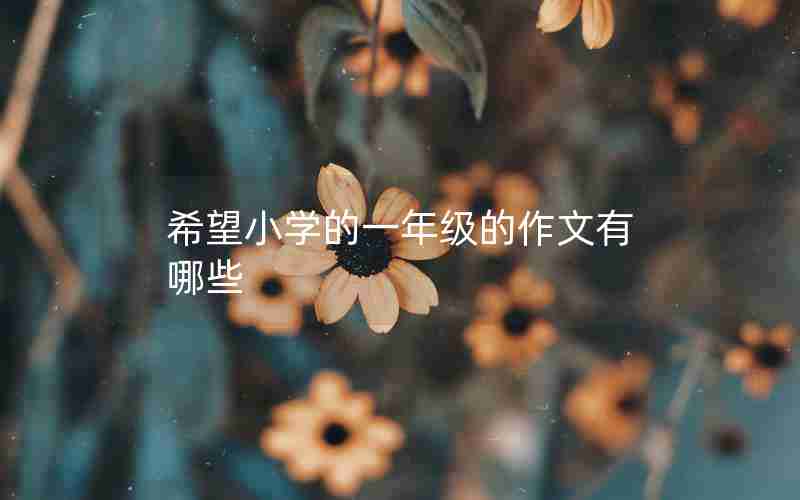 希望小学的一年级的作文有哪些