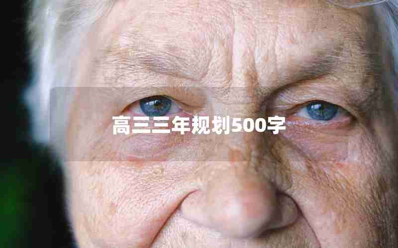高三三年规划500字