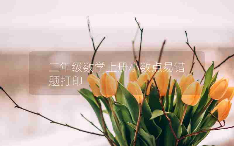三年级数学上册小数点易错题打印