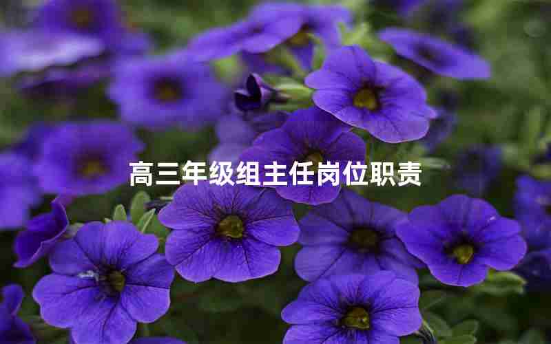 高三年级组主任岗位职责,高三年级组主任岗位职责怎么写
