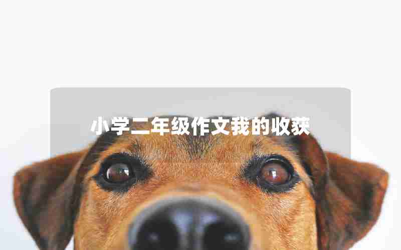 小学二年级作文我的收获