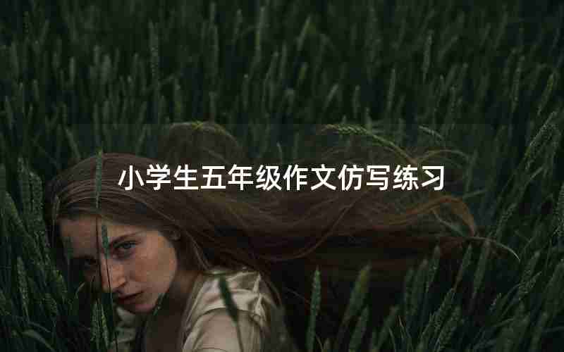 小学生五年级作文仿写练习