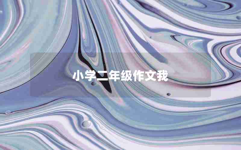 小学二年级作文我