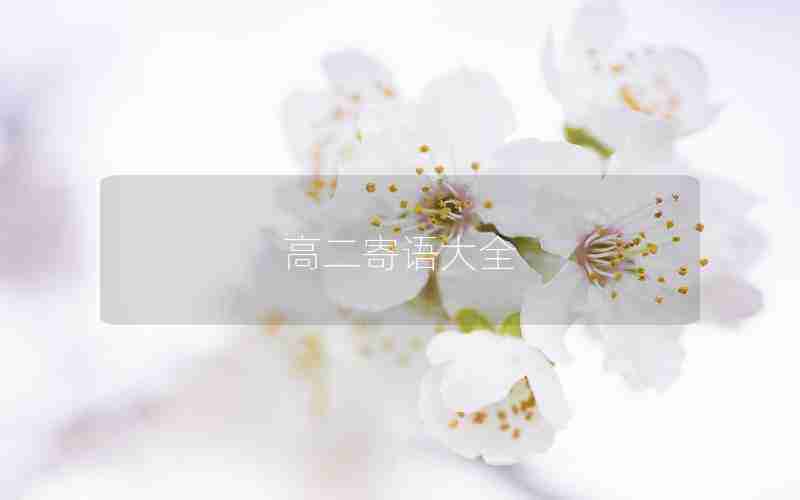 高二寄语大全