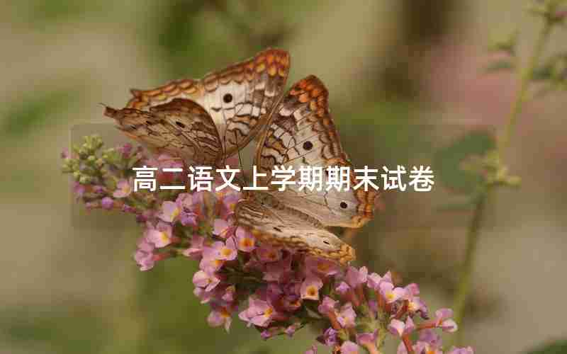 高二语文上学期期末试卷