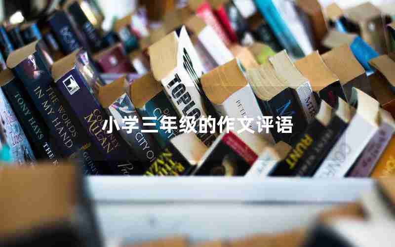 小学三年级的作文评语