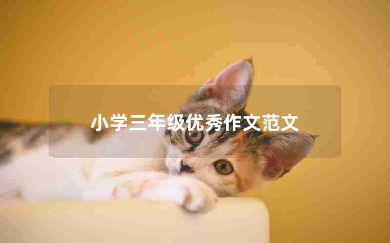 小学三年级优秀作文范文