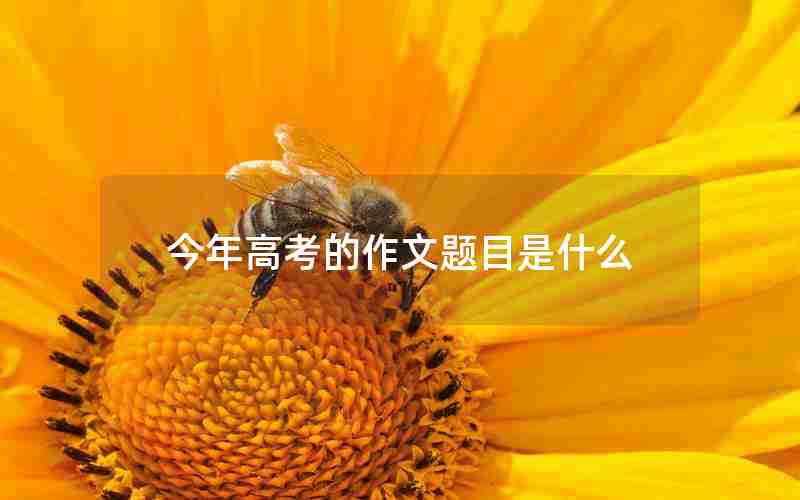 今年高考的作文题目是什么