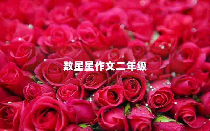数星星作文二年级