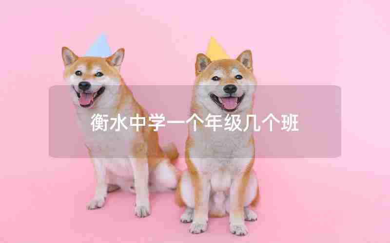 衡水中学一个年级几个班