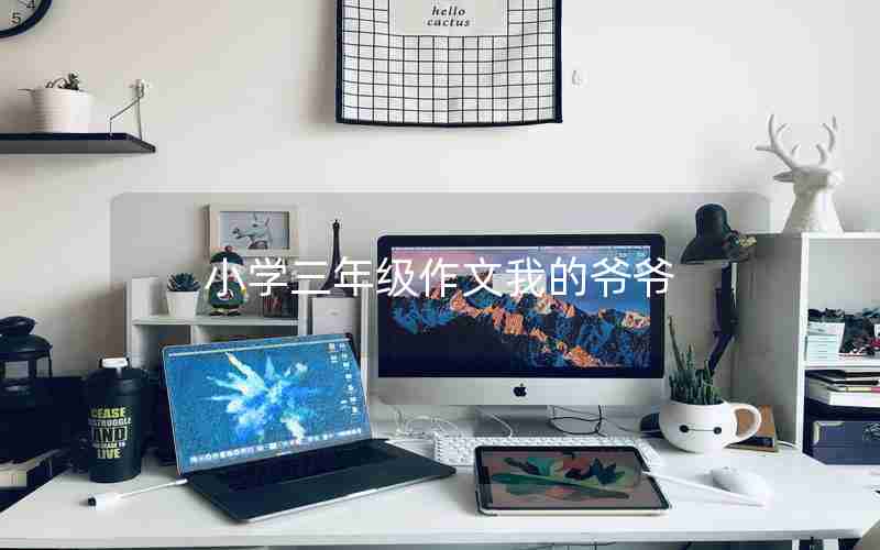 小学三年级作文我的爷爷