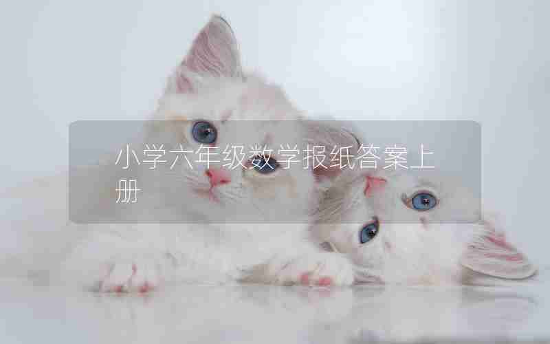 小学六年级数学报纸答案上册