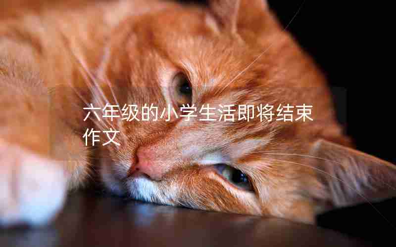 六年级的小学生活即将结束作文