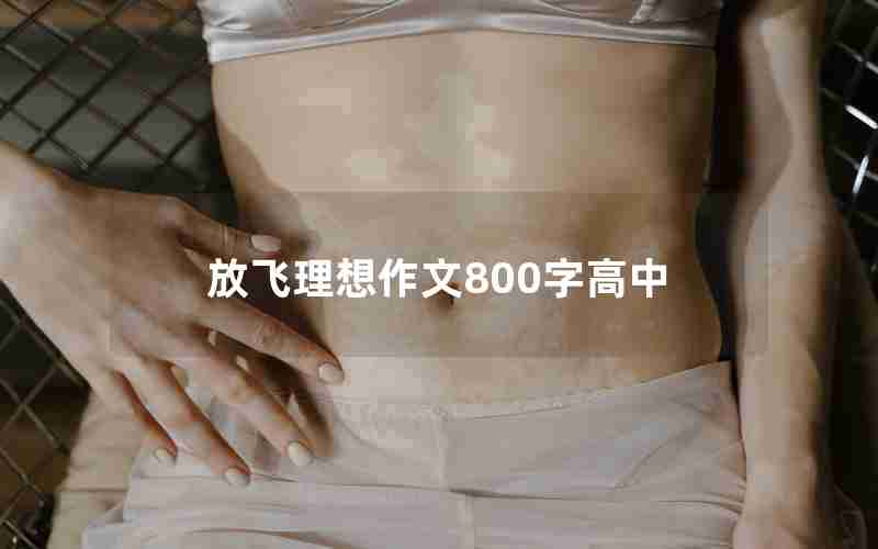 放飞理想作文800字高中