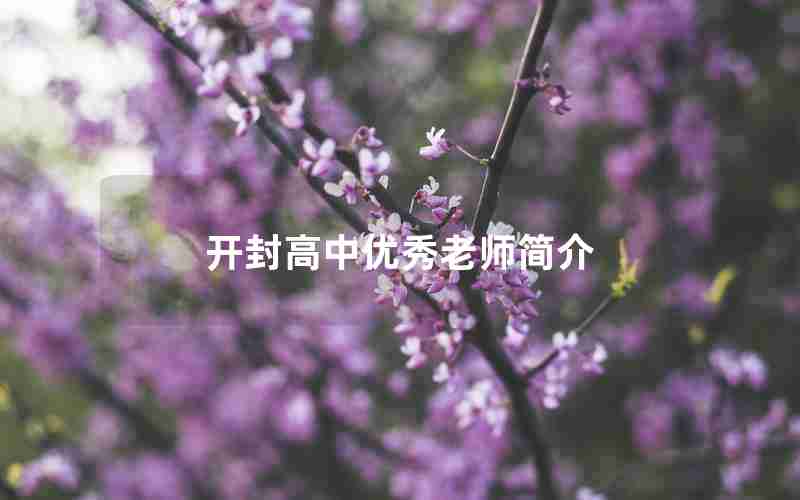 开封高中优秀老师简介