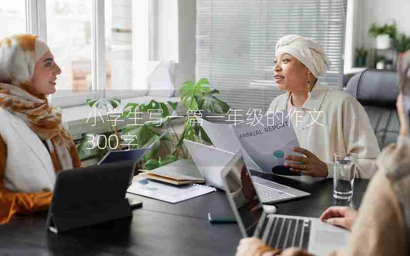 小学生写一篇一年级的作文300字