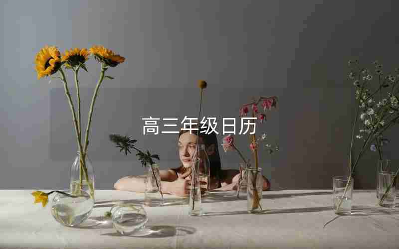 高三年级日历