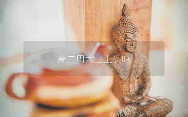 高二周六日上课吗