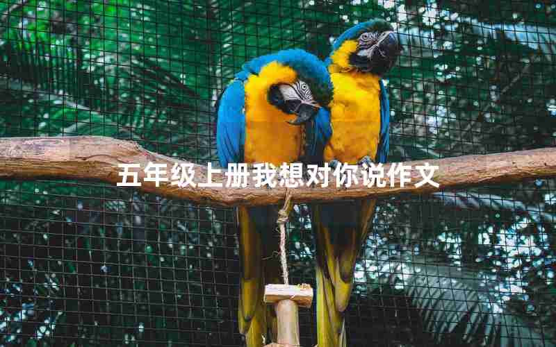 五年级上册我想对你说作文