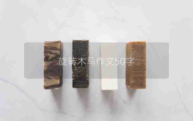 旋转木马作文50字