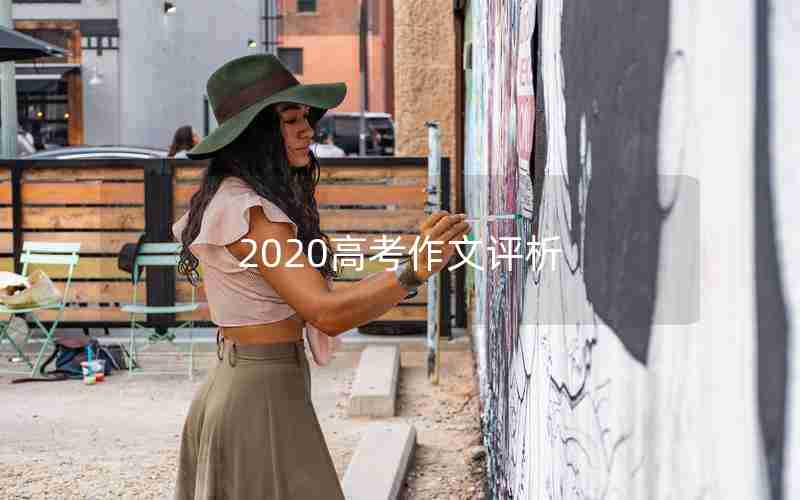 2020高考作文评析