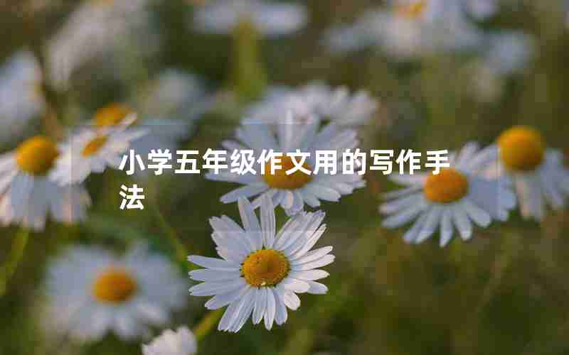 小学五年级作文用的写作手法