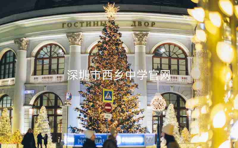 深圳市西乡中学官网