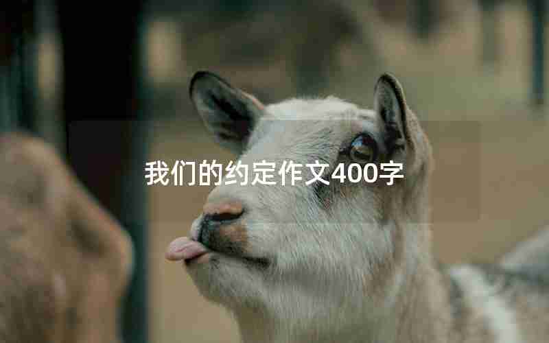 我们的约定作文400字