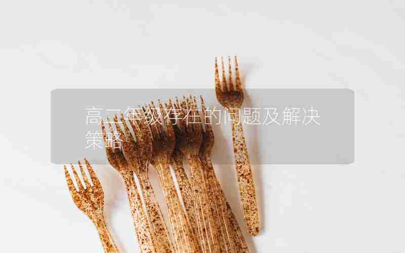 高二年级存在的问题及解决策略