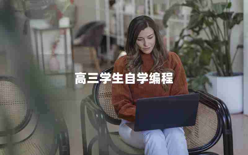高三学生自学编程