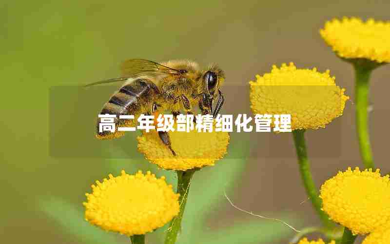 高二年级部精细化管理