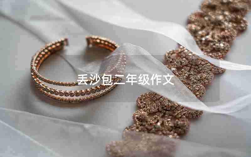 丢沙包二年级作文