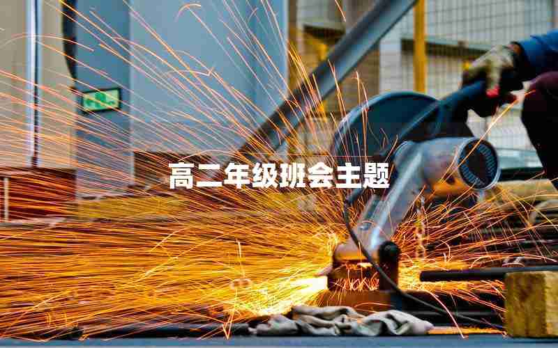 高二年级班会主题