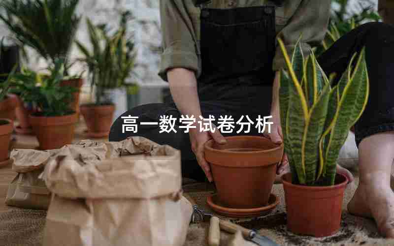 高一数学试卷分析