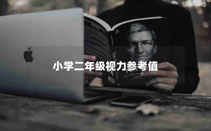 小学二年级视力参考值