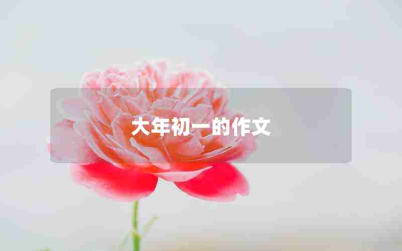 大年初一的作文