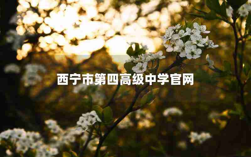 西宁市第四高级中学官网