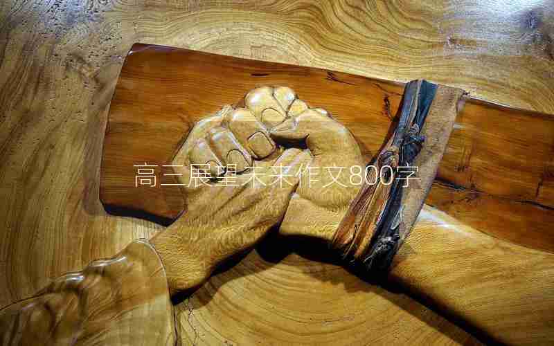 高三展望未来作文800字