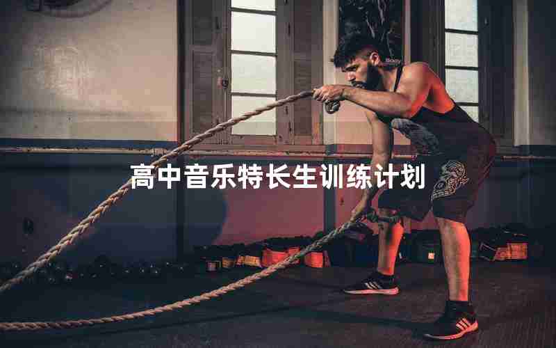 高中音乐特长生训练计划