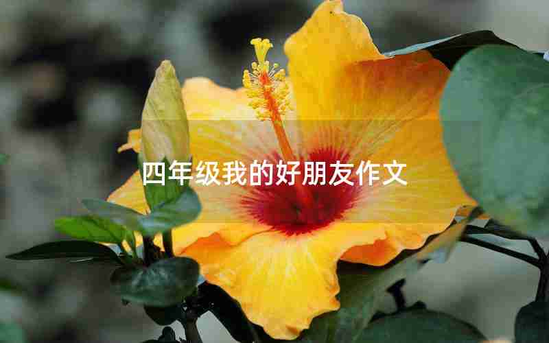 四年级我的好朋友作文