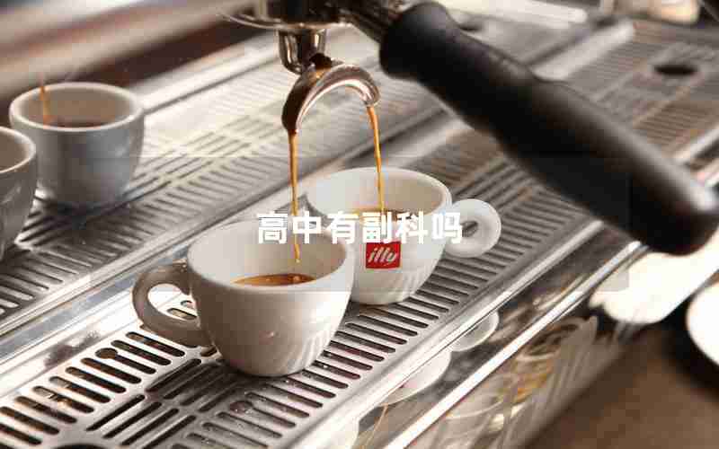 高中有副科吗