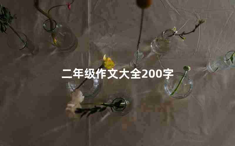 二年级作文大全200字