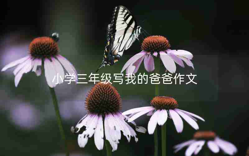 小学三年级写我的爸爸作文
