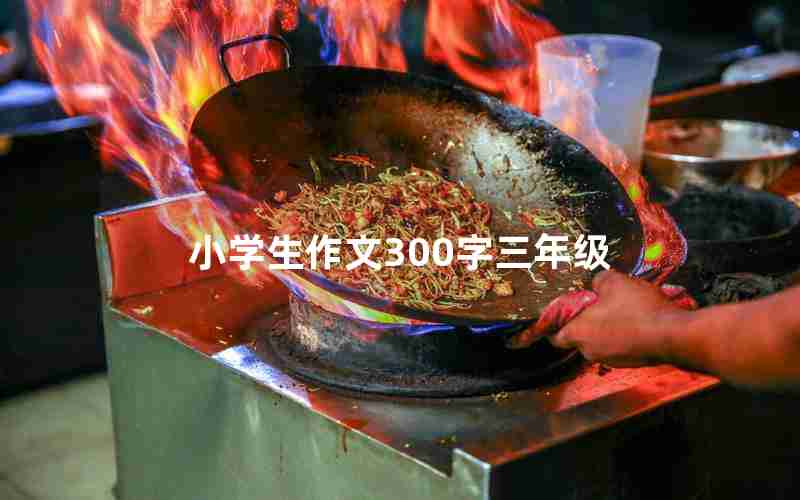 小学生作文300字三年级